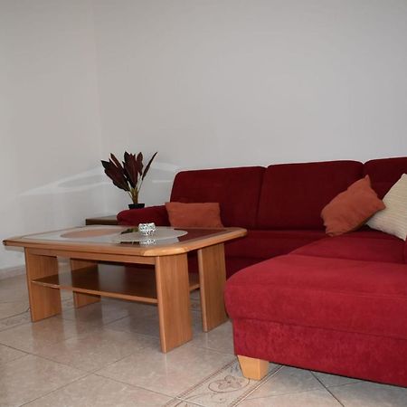 Pet Friendly Apartment Murvi 50 Novigrad Istria 외부 사진