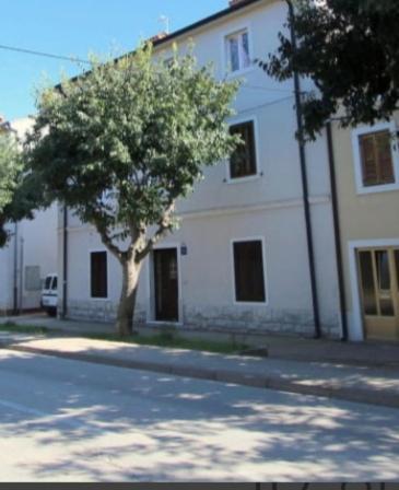 Pet Friendly Apartment Murvi 50 Novigrad Istria 외부 사진